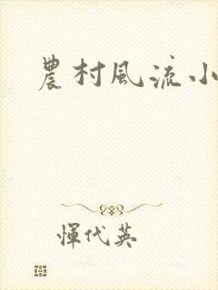 农村风流小说封面