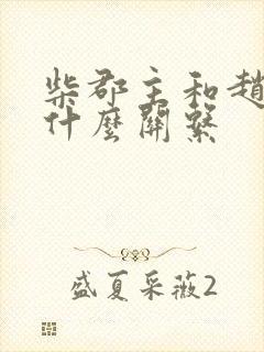 柴郡主和赵匡胤什么关系