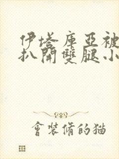 伊塔库亚被强行扒开双腿小说