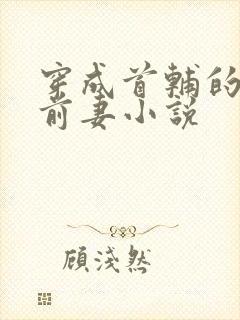 穿成首辅的炮灰前妻小说