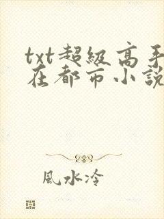 txt超级高手在都市小说下载