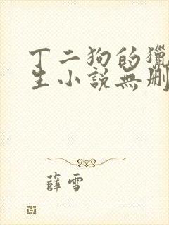 丁二狗的猎艳人生小说无删减小说封面