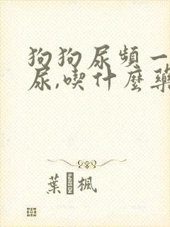 狗狗尿频一会一尿,吃什么药