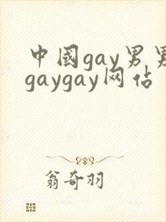 中国gay男男gaygay网站