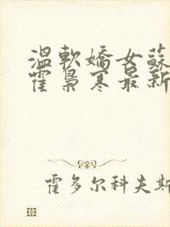 温软娇女苏婉,霍枭寒最新章节