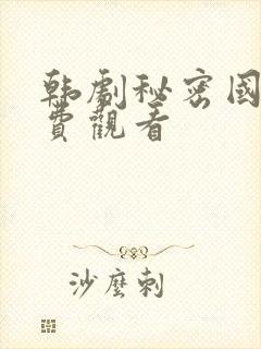 韩剧秘密国语免费观看