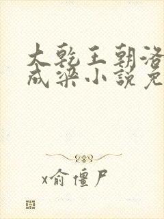 大乾王朝洛羽武成梁小说免费阅读