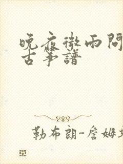 晚夜微雨问海棠古筝谱