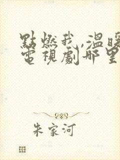 点燃我,温暖你电视剧哪里可以看