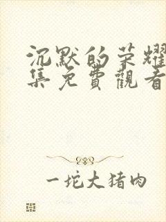 沉默的荣耀40集免费观看全集高清封面