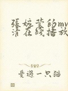 张婉莹的mv高清在线播放下载