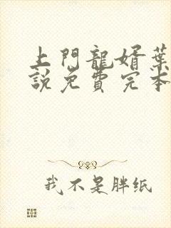 上门龙婿叶辰小说免费完本