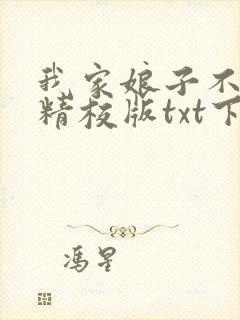我家娘子不对劲精校版txt下载