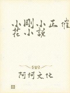 小刚小正催眠校花小说