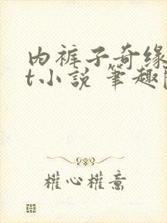 内裤子奇缘txt小说 笔趣阁