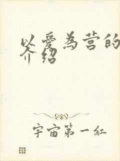 以爱为营的剧情介绍