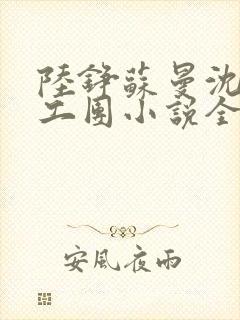 陆铮苏曼沈婉文工团小说全文阅读