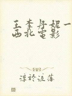 王李丹妮一路走西北电影