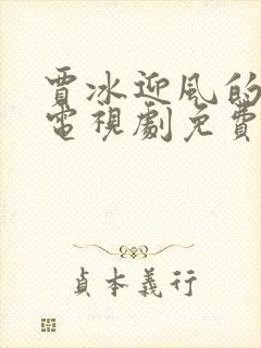 贾冰迎风的青春电视剧免费观看