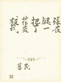 校花把腿张开让我爽了一夜封面