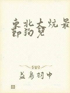 东北大炕最新章节狗儿