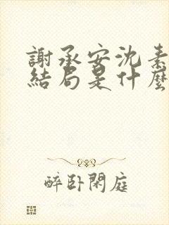 谢承安沈素雨大结局是什么封面