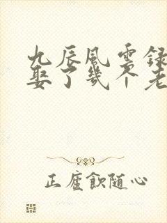 九辰风云录阳辰娶了几个老婆