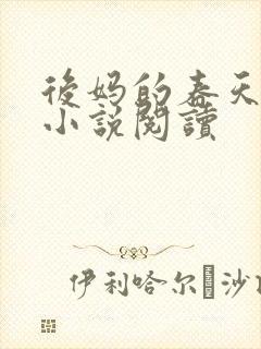 后妈的春天小成小说阅读