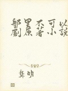 那里不可以广播剧原著小说叫什么