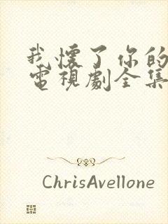 我怀了你的孩子电视剧全集