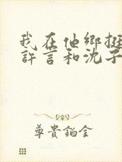 我在他乡挺好的许言和沈子畅结局