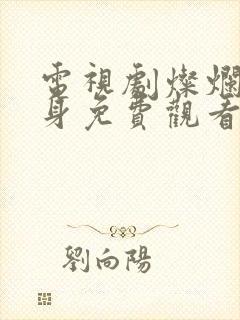 电视剧灿烂的转身免费观看高清封面