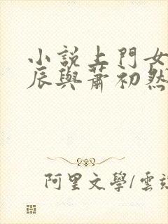 小说上门女婿叶辰与萧初然