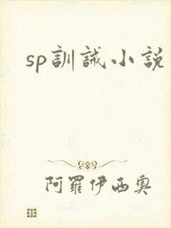 sp训诫小说