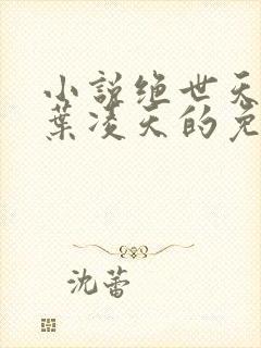 小说绝世天骄·叶凌天的免费阅读