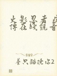 火影忍者 疾风传在线观看