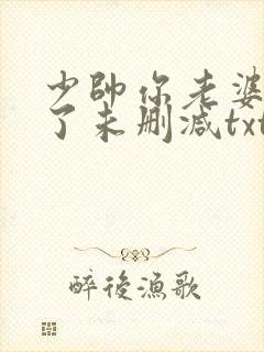 少帅你老婆又跑了未删减txt下载封面