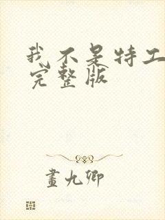 我不是特工免费完整版封面