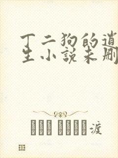 丁二狗的逍遥人生小说未删减完整版封面