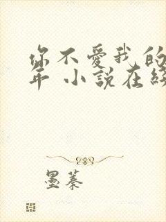 你不爱我的那些年 小说在线阅读
