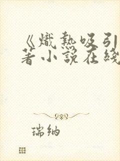 《炽热吸引》原著小说在线阅读封面