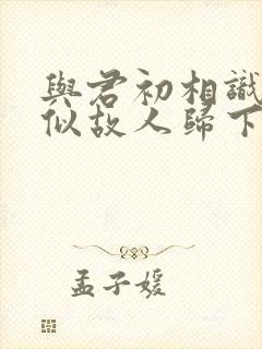 与君初相识,恰似故人归下一句