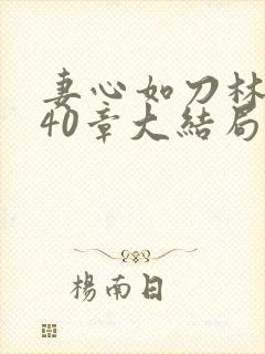 妻心如刀林茜140章大结局封面