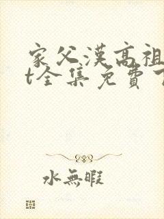 家父汉高祖txt全集免费下载