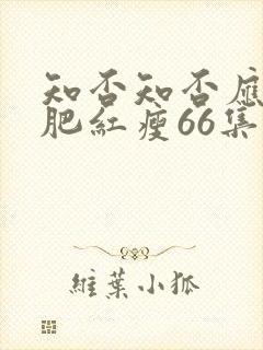 知否知否应是绿肥红瘦66集