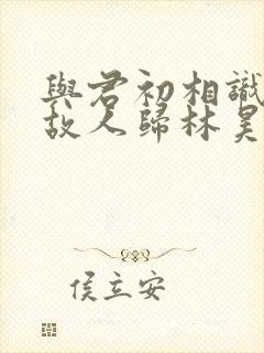 与君初相识恰似故人归林昊青