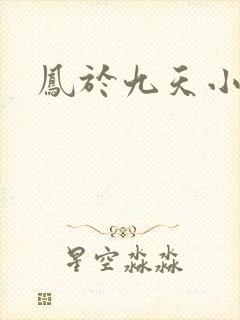 凤于九天小说封面