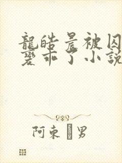 龙皓晨被囚禁后变乖了小说