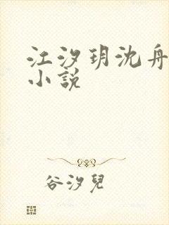 江汐玥沈舟琛的小说