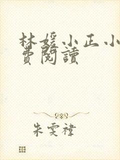 林媛小正小说免费阅读